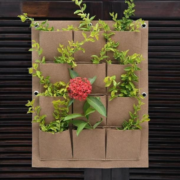 Wall Planter | 6-Pocket | Aeroponic